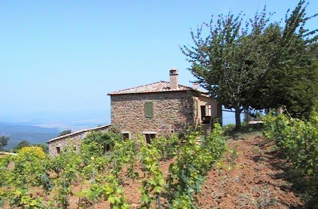 Podere Soccorso Montalcino Ngoại thất bức ảnh