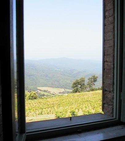 Podere Soccorso Montalcino Ngoại thất bức ảnh